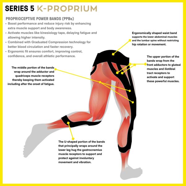 SKINS SERIES-5 K-Proprium Men's Long Tights Black/Black - Image 6