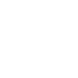 series-1-speedo
