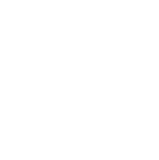 series-3-speedo