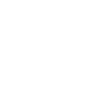 series-5-speedo